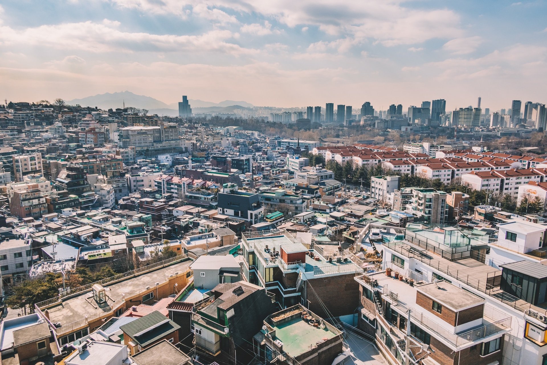 bundo-kim-1lFJGJqRrPg-unsplash (2)